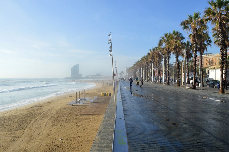 The palm-lined promenade and sand of Barceloneta beach in Barcelona